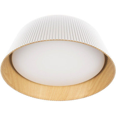 Потолочный светильник Evans 10224 White