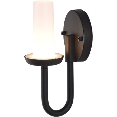 Настенный светильник уличный Candle SL9539.701.01