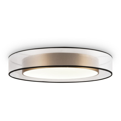 Потолочный светильник Zoticus FR6005CL-L48G