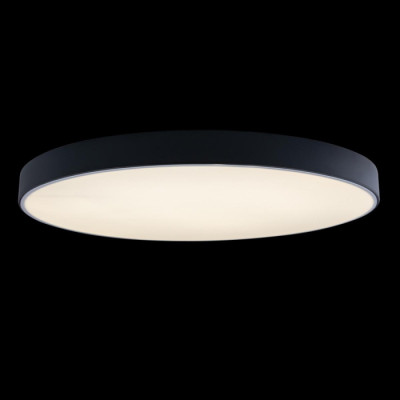 Потолочный светильник Axel 10002/48 Black